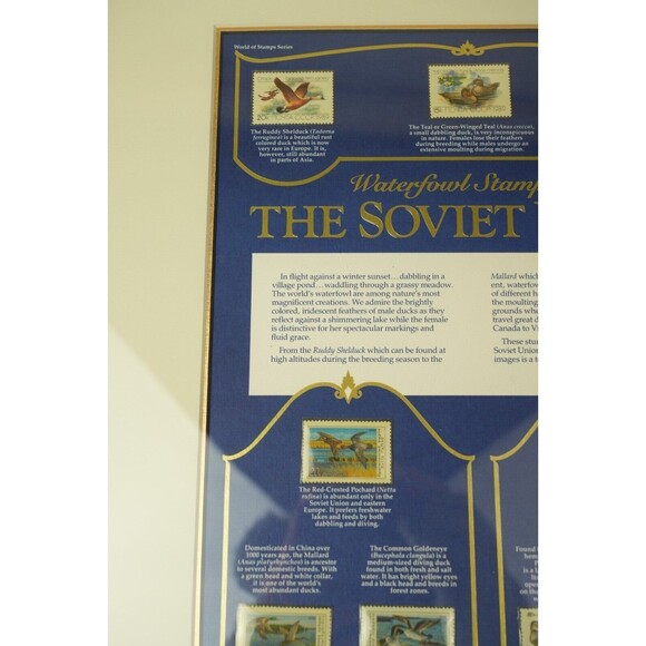 Soviet Union Waterfowl Stamps 1989-1991 | Gold-Framed Display Page | Collectible - Picture 5 of 16